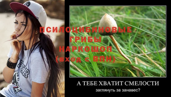 MESCALINE Осинники