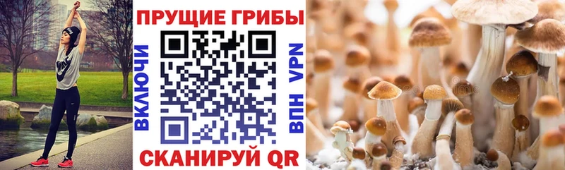 Галлюциногенные грибы ЛСД  Власиха 